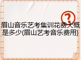 眉山音乐艺考集训花费大概是多少(眉山艺考音乐费用)