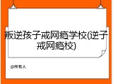 叛逆孩子戒网瘾学校(逆子戒网瘾校)