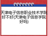 天津电子信息职业技术学院好不好(天津电子信息学院好吗)