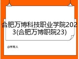 合肥万博科技职业学院2023(合肥万博职院23)