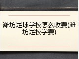 潍坊足球学校怎么收费(潍坊足校学费)