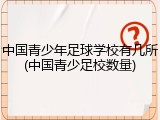 中国青少年足球学校有几所(中国青少足校数量)