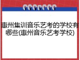 惠州集训音乐艺考的学校有哪些(惠州音乐艺考学校)