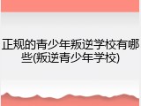 正规的青少年叛逆学校有哪些(叛逆青少年学校)