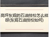 高坪东观的石油技校怎么样呀(东观石油技校如何)