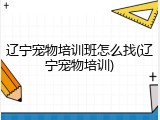 辽宁宠物培训班怎么找(辽宁宠物培训)