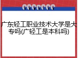 广东轻工职业技术大学是大专吗(广轻工是本科吗)