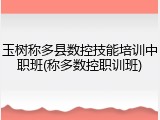 玉树称多县数控技能培训中职班(称多数控职训班)
