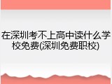 在深圳考不上高中读什么学校免费(深圳免费职校)