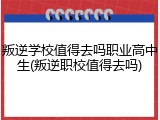 叛逆学校值得去吗职业高中生(叛逆职校值得去吗)