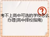 考不上高中可选的学校怎么办理(高中择校指南)