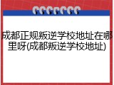 成都正规叛逆学校地址在哪里呀(成都叛逆学校地址)