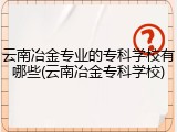 云南冶金专业的专科学校有哪些(云南冶金专科学校)