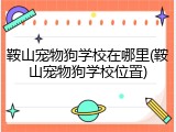 鞍山宠物狗学校在哪里(鞍山宠物狗学校位置)