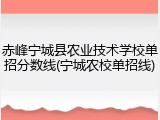 赤峰宁城县农业技术学校单招分数线(宁城农校单招线)