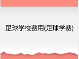 足球学校费用(足球学费)
