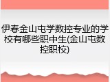 伊春金山屯学数控专业的学校有哪些职中生(金山屯数控职校)