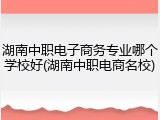湖南中职电子商务专业哪个学校好(湖南中职电商名校)