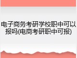 电子商务考研学校职中可以报吗(电商考研职中可报)