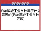 哈尔滨轻工业学校属于什么等级的(哈尔滨轻工业学校等级)