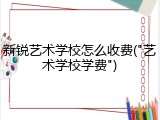新锐艺术学校怎么收费("艺术学校学费")