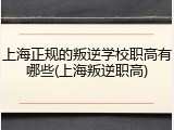 上海正规的叛逆学校职高有哪些(上海叛逆职高)