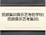 抚顺集训音乐艺考的学校(抚顺音乐艺考集训)