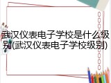 武汉仪表电子学校是什么级别(武汉仪表电子学校级别)