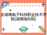 去湖南电子科技职业技术学院(湖南电科院)