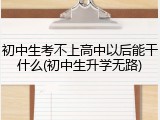 初中生考不上高中以后能干什么(初中生升学无路)