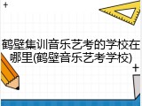 鹤壁集训音乐艺考的学校在哪里(鹤壁音乐艺考学校)