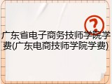 广东省电子商务技师学院学费(广东电商技师学院学费)