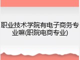 职业技术学院有电子商务专业嘛(职院电商专业)