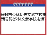 登封市少林功夫文武学校电话号码(少林文武学校电话)