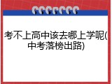 考不上高中该去哪上学呢(中考落榜出路)