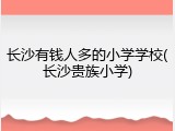 长沙有钱人多的小学学校(长沙贵族小学)