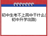 初中生考不上高中干什么(初中升学出路)