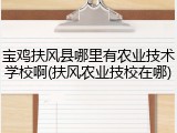 宝鸡扶风县哪里有农业技术学校啊(扶风农业技校在哪)