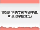 邯郸训狗的学校在哪里(邯郸训狗学校地址)