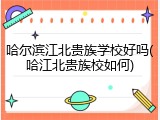 哈尔滨江北贵族学校好吗(哈江北贵族校如何)
