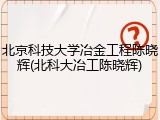北京科技大学冶金工程陈晓辉(北科大冶工陈晓辉)
