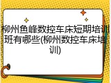 柳州鱼峰数控车床短期培训班有哪些(柳州数控车床培训)