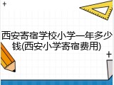 西安寄宿学校小学一年多少钱(西安小学寄宿费用)