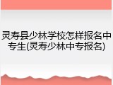灵寿县少林学校怎样报名中专生(灵寿少林中专报名)