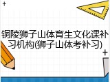 铜陵狮子山体育生文化课补习机构(狮子山体考补习)