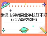 武汉市供销商业学校好不好(武汉商校如何)