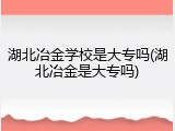 湖北冶金学校是大专吗(湖北冶金是大专吗)