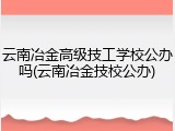 云南冶金高级技工学校公办吗(云南冶金技校公办)