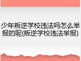 少年叛逆学校违法吗怎么举报的呢(叛逆学校违法举报)