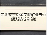 昆明安宁冶金学院矿业专业(昆明安宁矿冶)